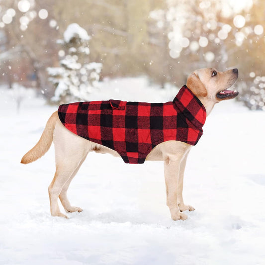 Winter Coat for Dogs