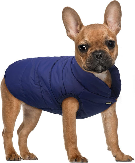 2 Pieces Dog Jacket 2 Layers