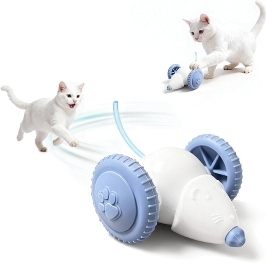 Interactive Cat Toys for Indoor