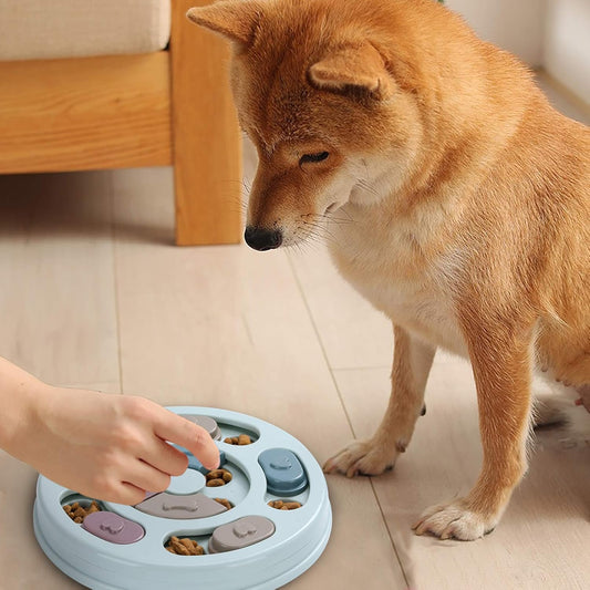 Dogs Food Toys for IQ Training