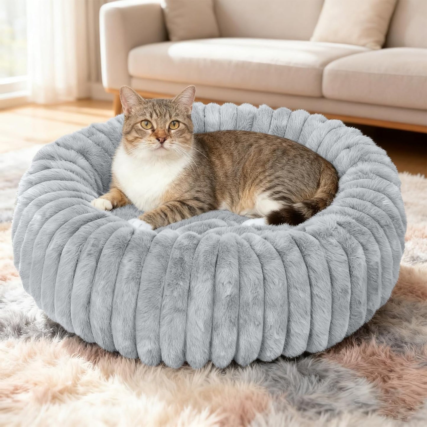 Washable Small Cat Dog Bed