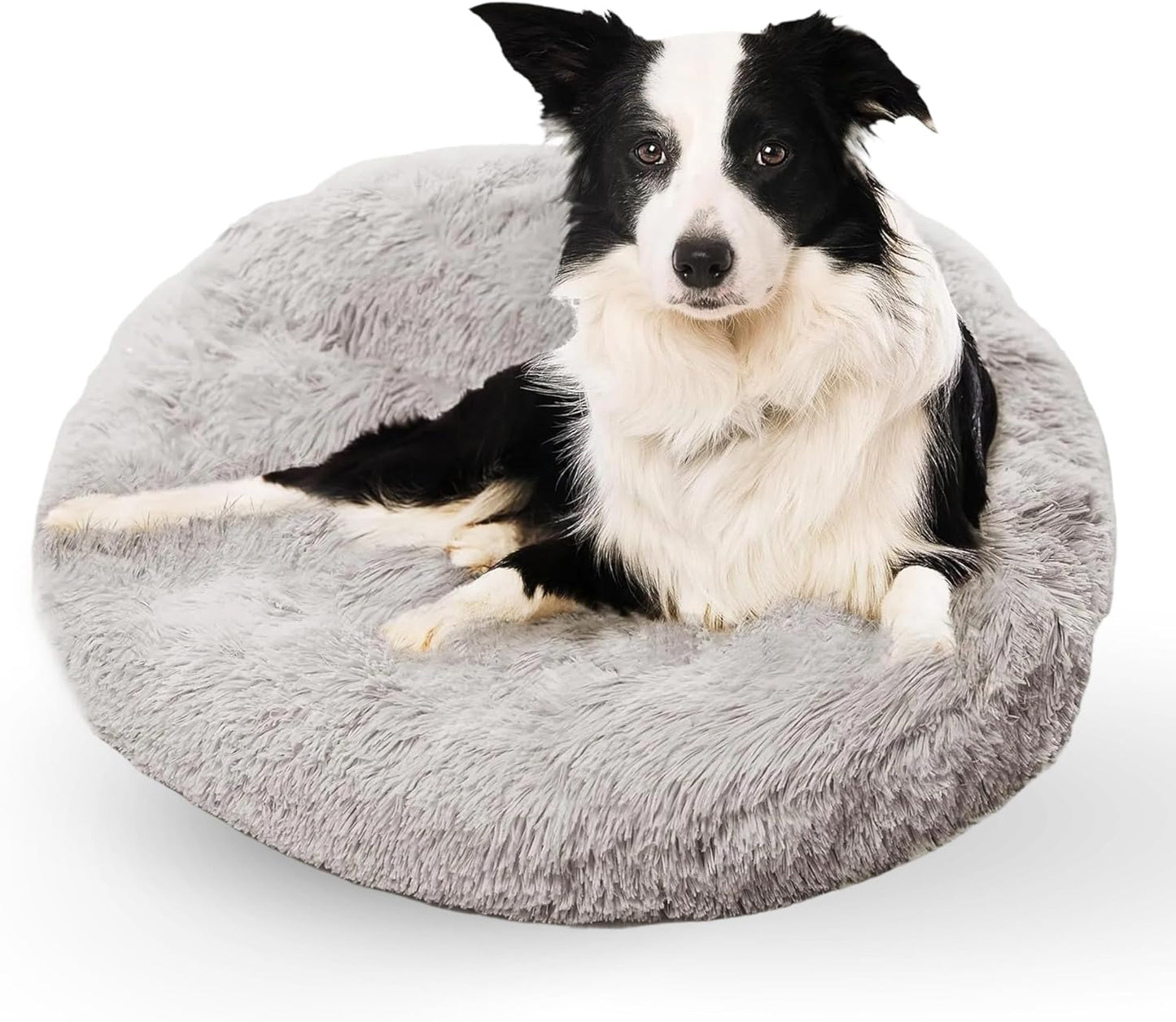 Medium Dog Bed